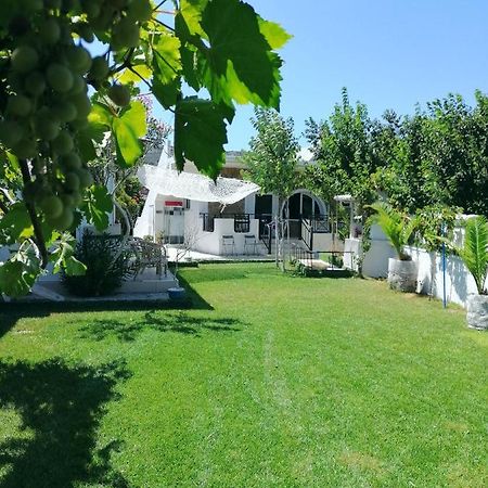 Villa Dina Chania (Crete) Exterior photo
